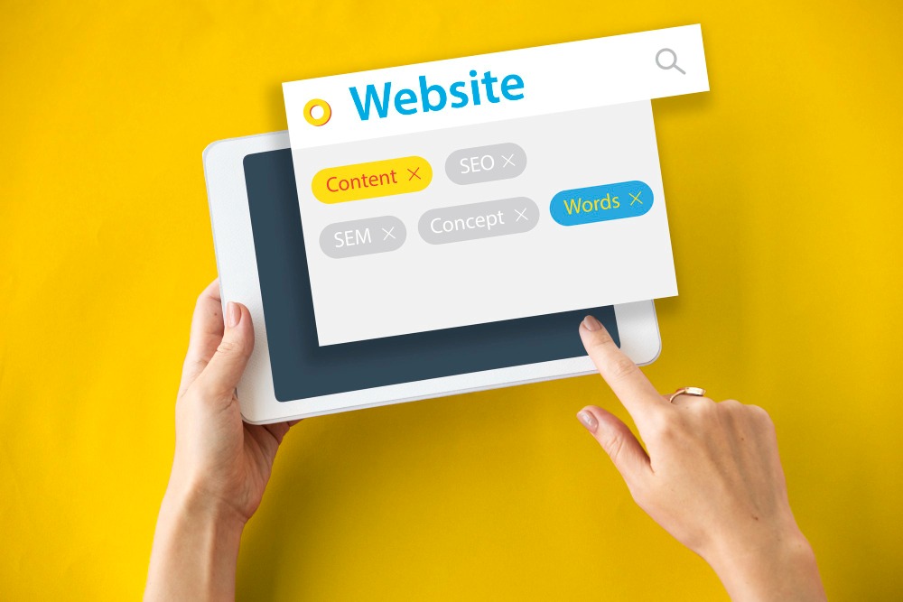 fungsi Wordpress